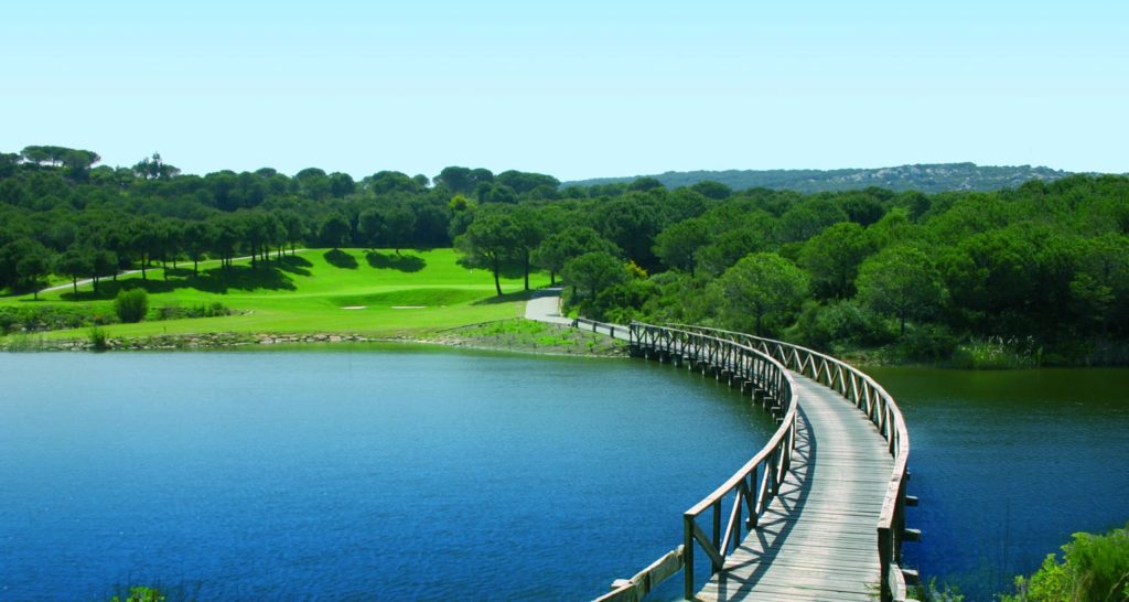 Everything you need to know to get started in golf
