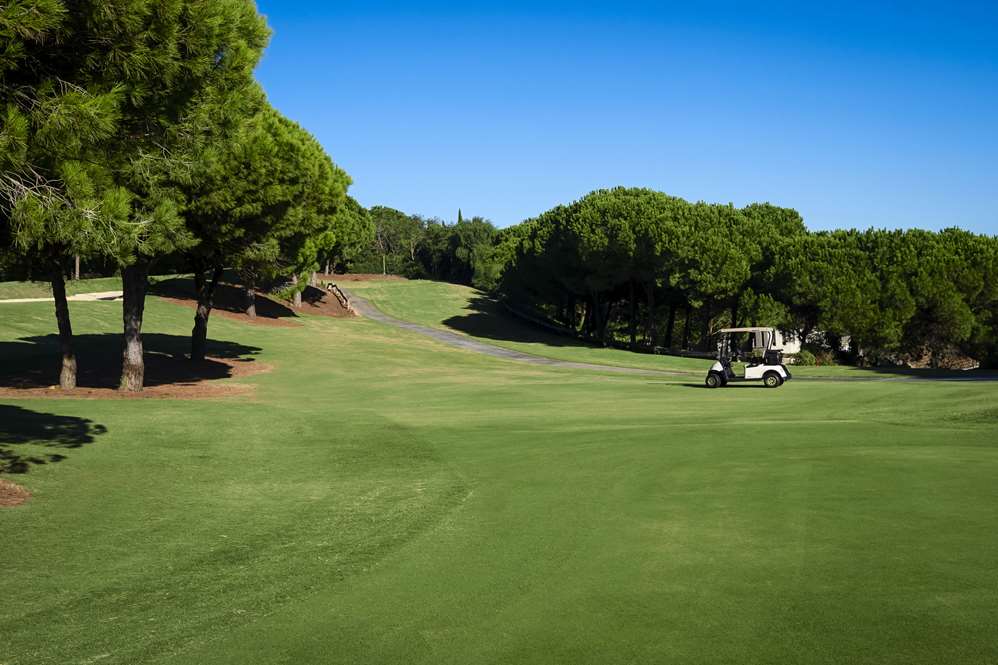 Why buy a green fee at Almenara Golf Sotogrande