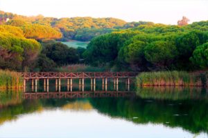 3 Tips to get the most out of your GreenFee